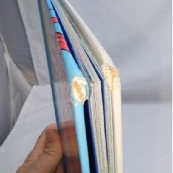 Vintage "The Lorax" by Dr. Seuss, Copyright 1971 Children's Book - Picture 5 of 7